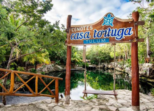 Diseño sin título (3)